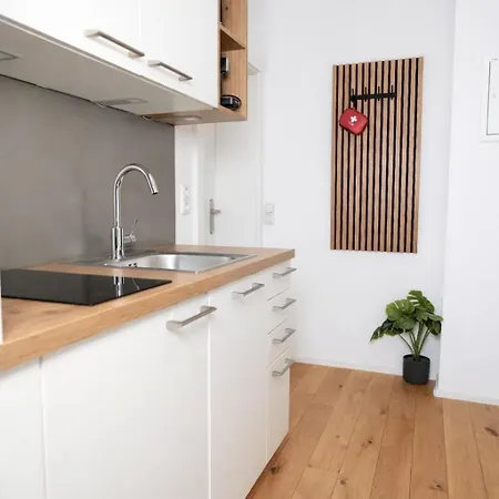 Donau- Haven Apartment Linz